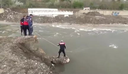 Yeşilırmak'a Uçan Otomobil Çıkarıldı, Sürücü Bulunamadı