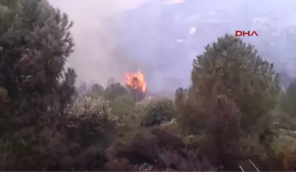 Izmir Foça'da Yangın