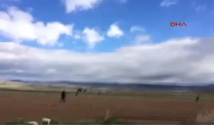 Eskişehir Polis, Hırsızlık Şüphelisini Tarlada Yakaladı