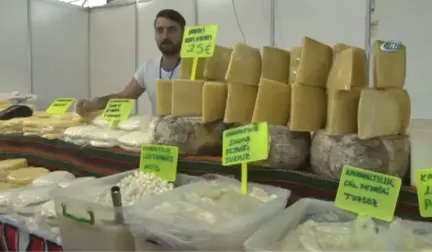 Kastamonu Günleri Başladı