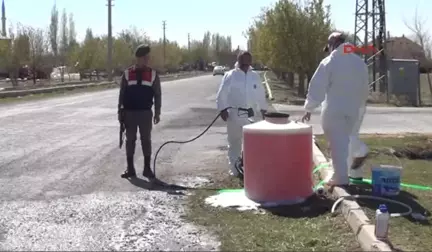 Niğde'de Kuş Gribi Şüphesi