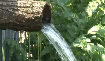 Sağlıklı Gelecek İçin Tohumlar Nilüfer'de El Değiştirdi