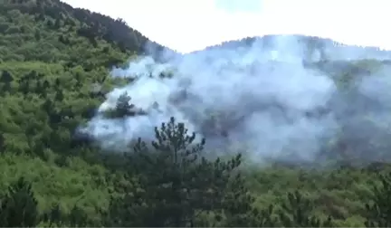 Taşova'da Örtü Yangını