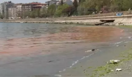 Marmara Denizi'ndeki Turuncu Renk Etkisini Sürdürüyor