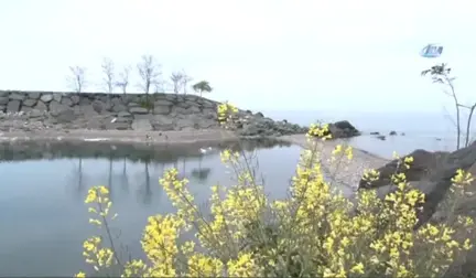 Rize'de Balıkçı Barınağı Girişi Kapandı