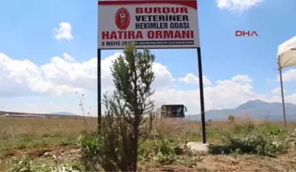 Burdur Veteriner Hekimler Fidan Dikti