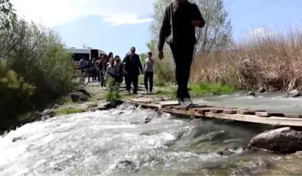 Dünya Göçmen Kuşlar Günü