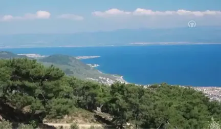 Iç Turizmin Lideri