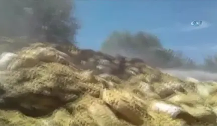 Saman Yığını Alev Aldı