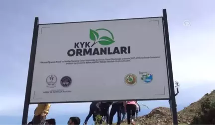 81 Ilde Kyk Ormanları