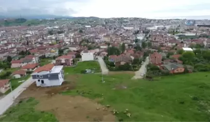 Yalova'da Kentsel Dönüşümle Uyuşturucu Meselesi de Ortadan Kalkacak