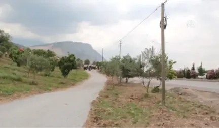 Şehitler Ormanına Fidan Dikildi - Manisa