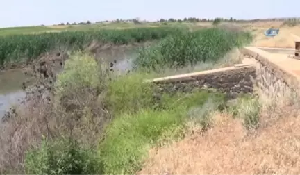 Suriye Sınırı Yakınındaki Kötü Kokunun Sebebi Bulundu