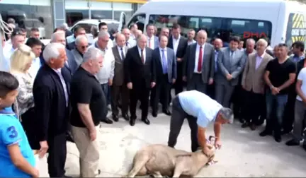 Tekirdağ 813 Karayolları Taşeron Işçisi Kadroya Alındı