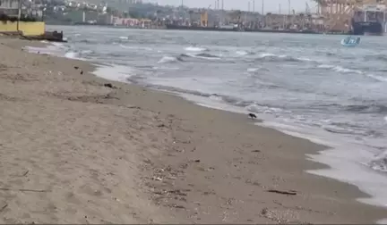 Tekirdağ'da Mavi Bayraklı Plaj Sayısı 4'e Yükseldi