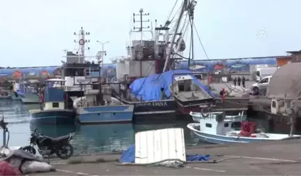 Balık Fiyatlarındaki Düşüş Devam Ediyor