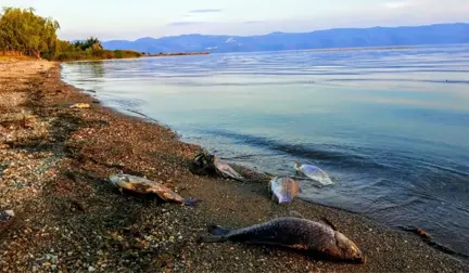 İznik Gölü'nde Korkutan Manzara