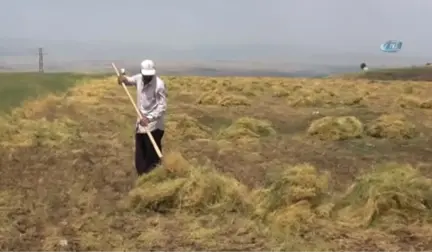40 Derecede Mercimek Hasadı