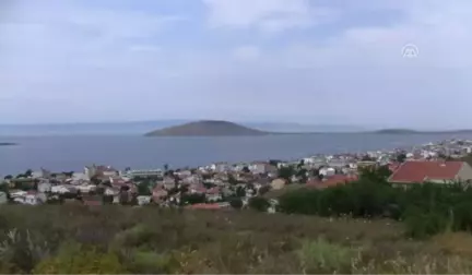 Avşa Adası Bayramda Tatilcilerin Akınına Uğrayacak