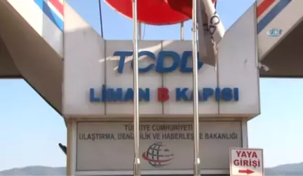 Gümrük Çalışanı Çelik: (Limanda Meydana Gelen Kaza)