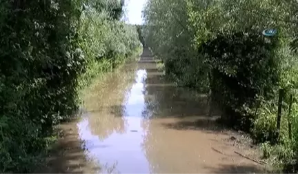 Sağanak Yağış Tarım Arazilerini Vurdu