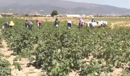 Ramazan Bayramı Kutlanıyor