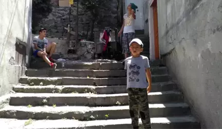 İstanbul'un Göbeğindeki Mahalleyi Pireler Bastı, Çoluk Çocuk Yara Bere İçinde!