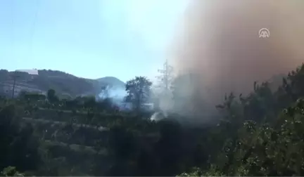 Alanya'da Villalar Bölgesinde Yangın (2)