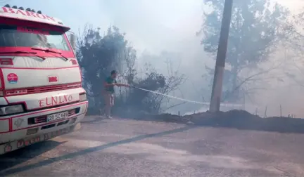 Alanya'daki Orman Yangını 24 Saattir Devam Ediyor