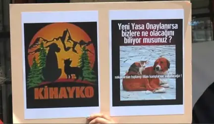 Hayvan Hakları Savunucularından Yasa Tasarısına Tepki