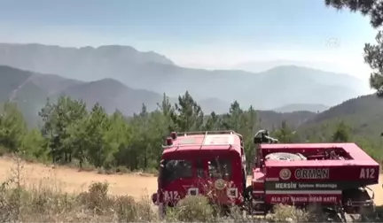 Mersin'deki Orman Yangını