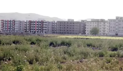 Şanlıurfa Harran Ovası'ndaki Betonlaşma Oranı 3 Kat Arttı