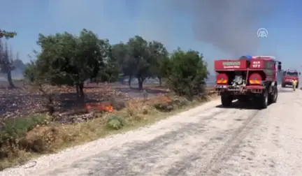 Tarım Arazisinde Yangın