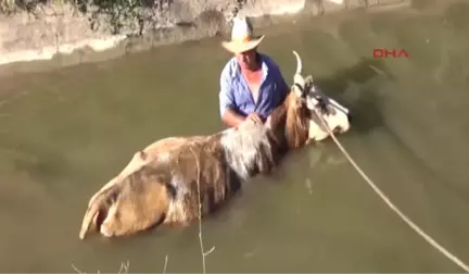 Erzincan Su Kanalına Düşen Sarı Kız'ın Başından Ayrılmadı