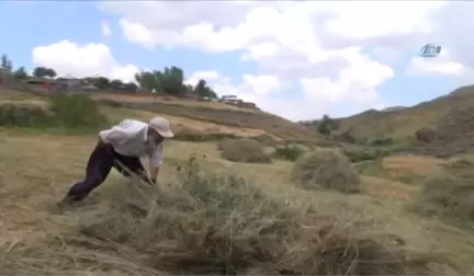 Ağrı'da Vatandaşların Kış Hazırlığı