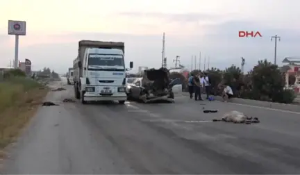 Adana - Otomobil Sürüye Çarptı, Çoban Kaçtı