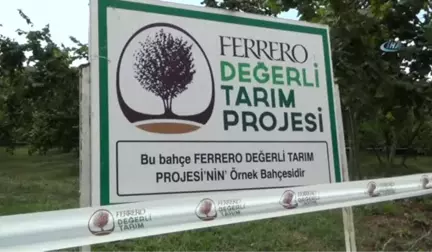 Ferrero Fındık Çiftçileri Bilgilendirmeye Devam Ediyor