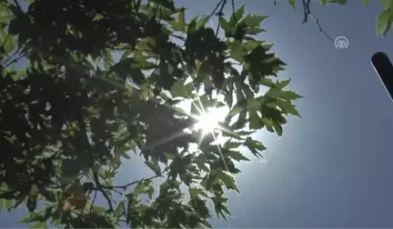 Sıcaktan Bunalan Vatandaşlar Parklara ve Havuzlara Akın Etti - Malatya/şanlıurfa/