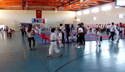 Hassa'da Minikler Karate Turnuvası