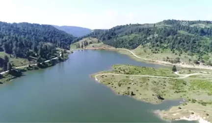 Acelle Yayla Şenlikleri Başladı