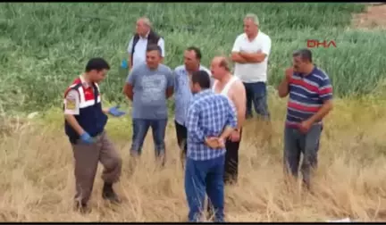 Amasya - Yolcu Otobüsü Şarampole Devrildi: 4 Ölü, 35 Yaralı