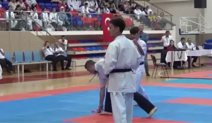 Uluslararası Altın Safran Türkiye Açık Kyokushin Şampiyonası