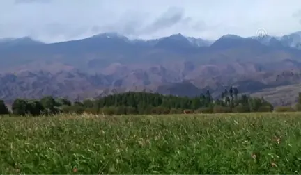 Kırgızistan'daki Karahanlılara Ait Türbede Ilginç Bulgu