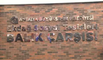 Balık Çarşısı