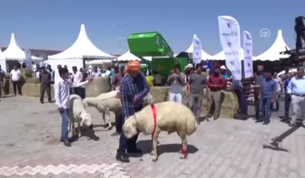 Aksaray'da En Güzel 