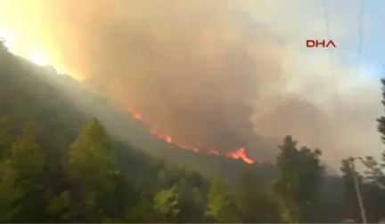 Antalya'da Orman Yangını