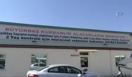 Araba Fiyatına Kurbanlık 'Mareşal'