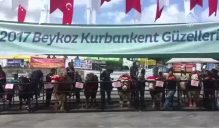 Kurbanlıklar Jüri Karşısına Çıktı