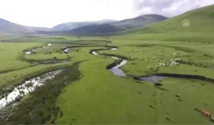 Menderesleriyle Ünlü Yayla Büyülüyor