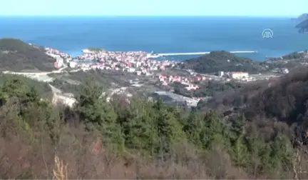 Amasra'da Bayram Tatili Yoğunluğu - Bartın